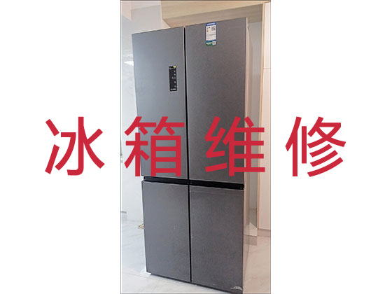 台州专业电冰箱安装